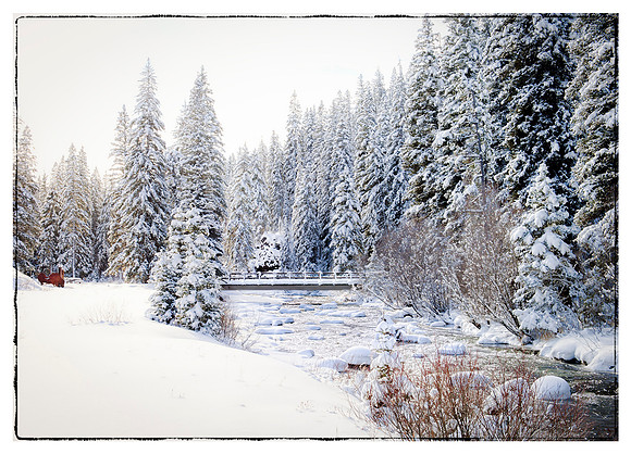 Winter Wonderland in Hyalite