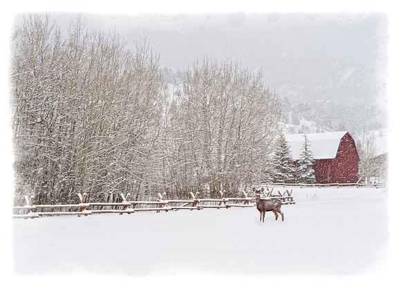 Winter Wonderland Note Card
