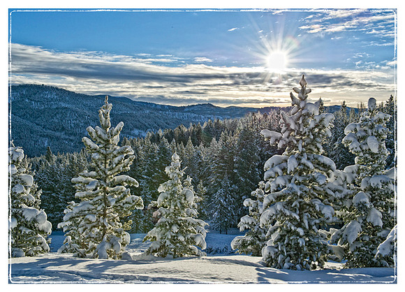 Winter's Glory