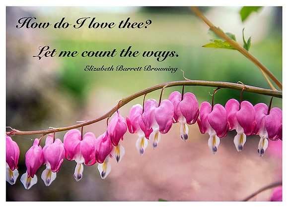 Valentine-1