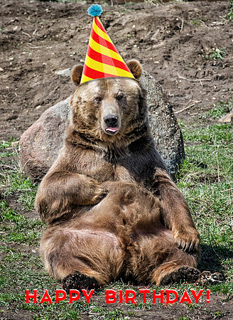BRUTUS Birthday