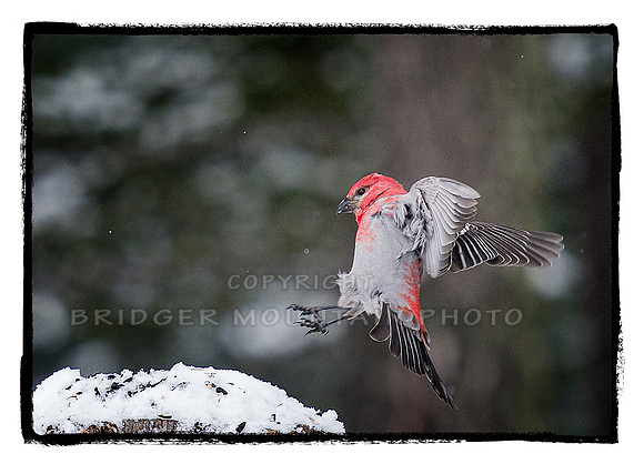Coming in for a Landing