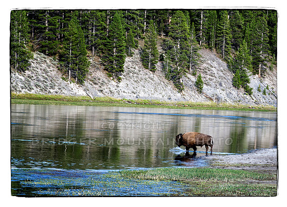Crossing the River Yellowstone