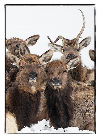 Group Photo-2