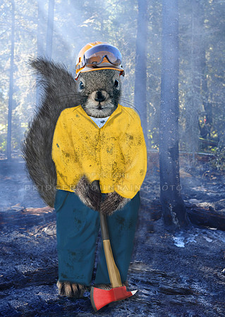 Wildland Firefighter Note Card
