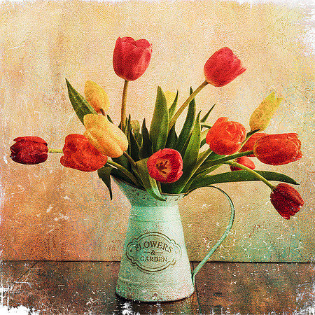 Tulips in Water Can