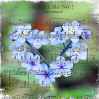 Forget Me Not Music
