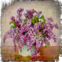 Lilac bouquet