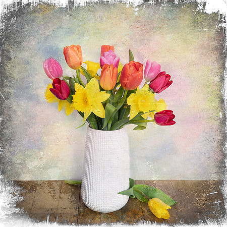Tulips & Daffodils