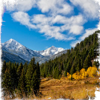 Fall Colors