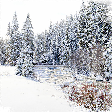 Winter in Hyalite
