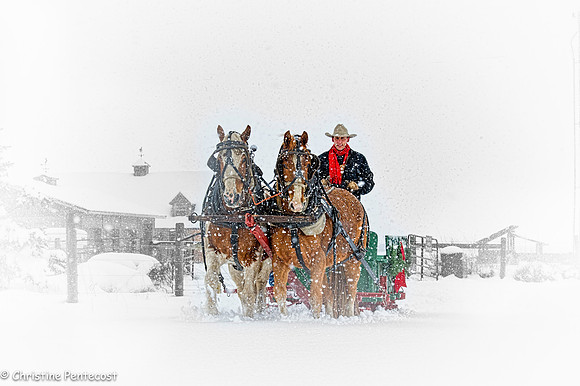 Sunrise Pack Station Sleigh Ride-22