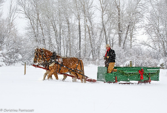 Sunrise Pack Station Sleigh Ride-21