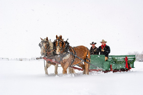 Sunrise Pack Station Sleigh Ride2-1