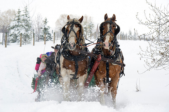 Sunrise Pack Station Sleigh Ride-13