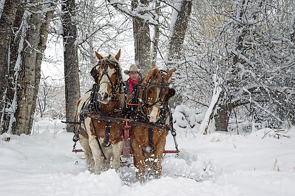 Sunrise Pack Station Sleigh Ride-18