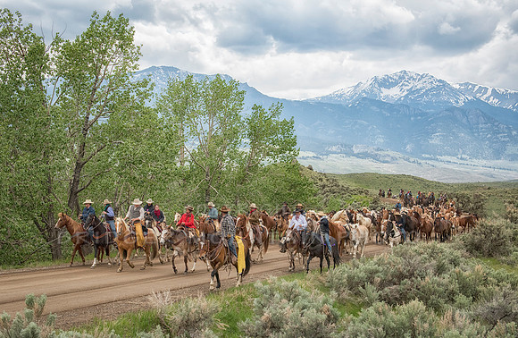 Gardiner Horse Drive
