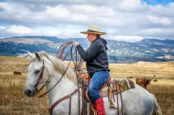 Cattle Branding-122