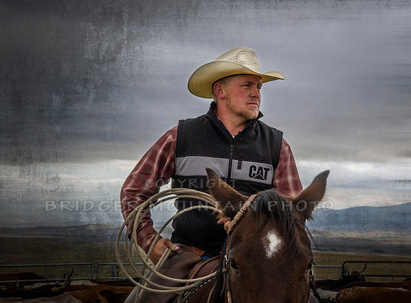 Cattle Branding-102