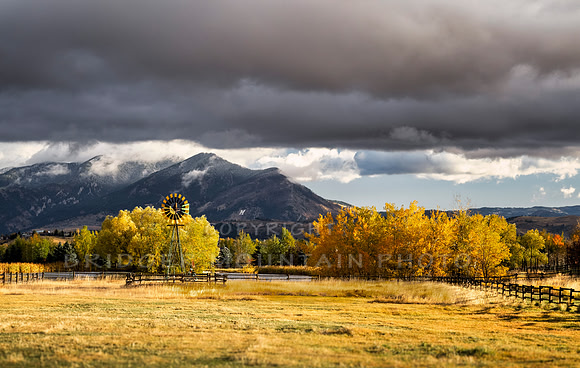 Autumn at the M