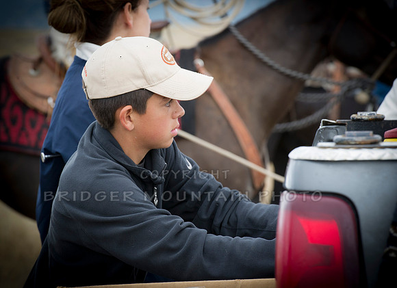 Cattle Branding-105
