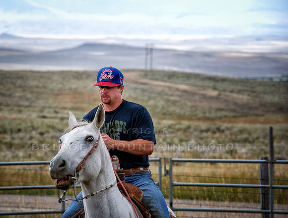 Cattle Branding-113