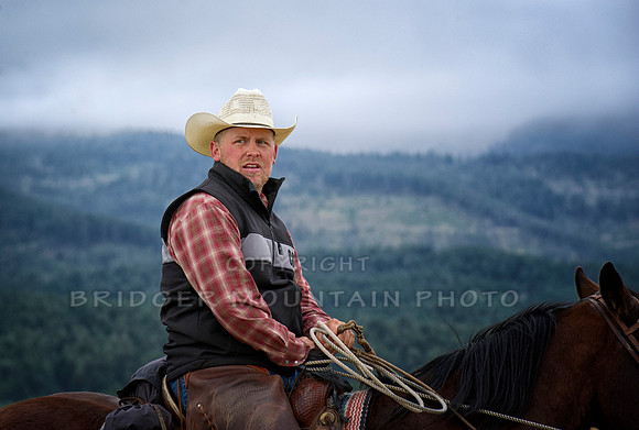 Cattle Branding-106