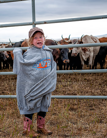 Cattle Branding-143