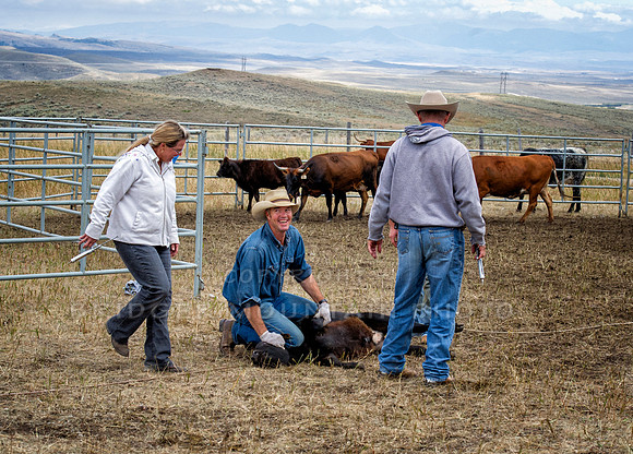 Cattle Branding-120