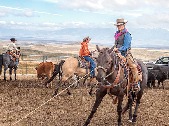 Cattle Branding-92