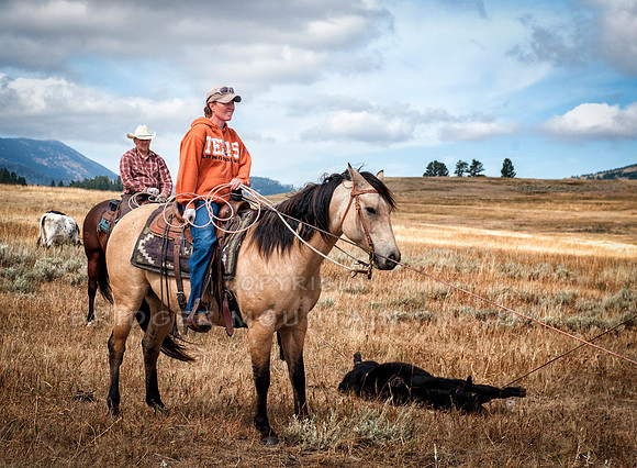 Cattle Branding-165