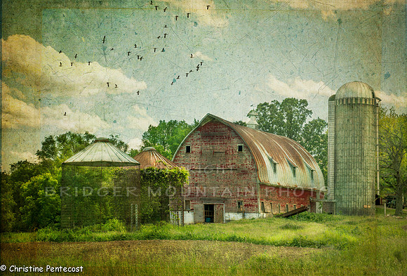 Summer on the Farm