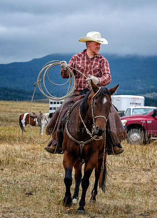 Cattle Branding-118