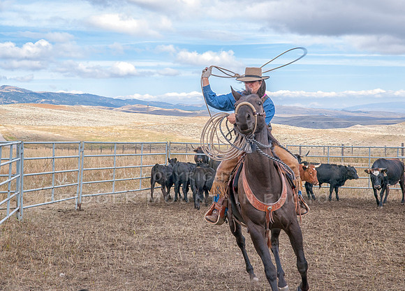 Cattle Branding-87