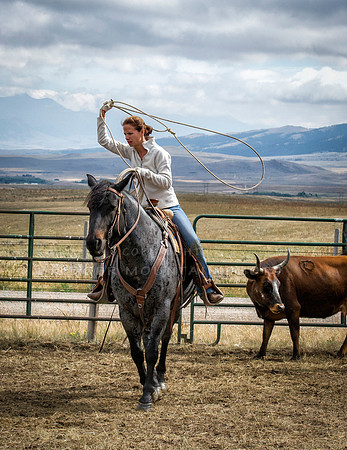 Cattle Branding-119