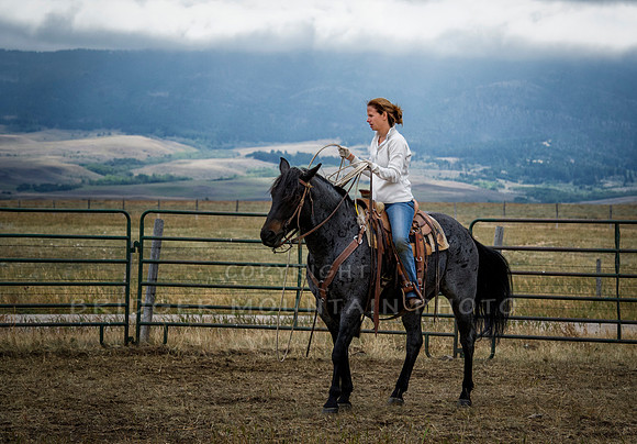Cattle Branding-117