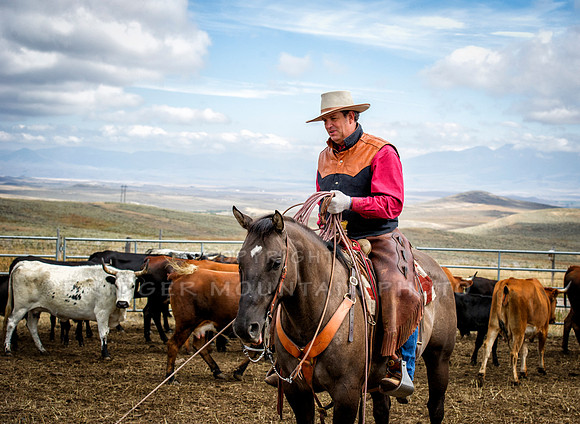 Cattle Branding-125