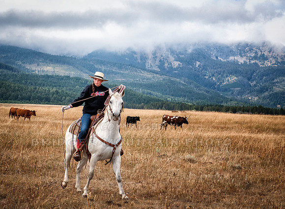 Cattle Branding-168