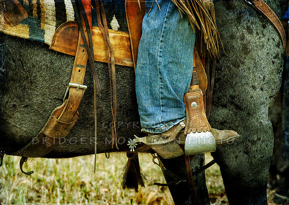 Cattle Branding-129