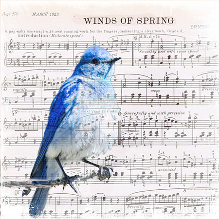 Bluebird Music