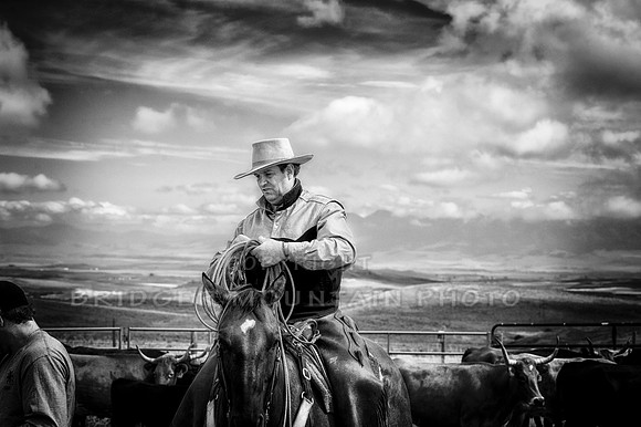 Cattle Branding-124