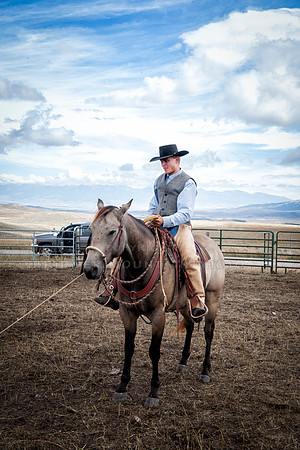 Cattle Branding-176