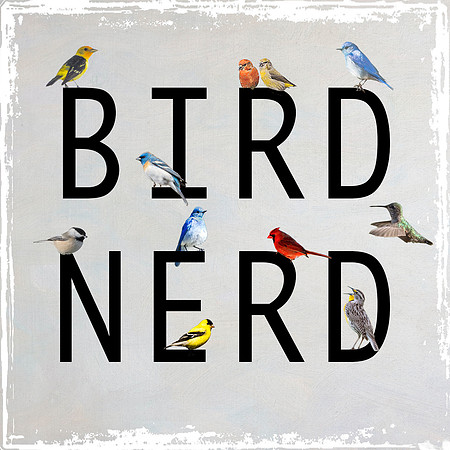 Bird Nerd