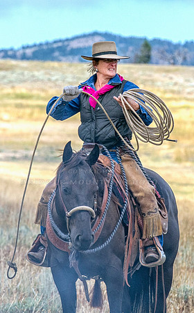 Cattle Branding-91