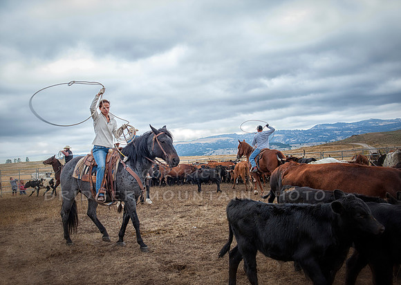 Cattle Branding-151