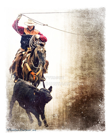 Roping Cowboy