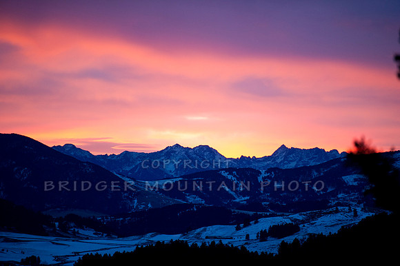 Absaroka Sunrise