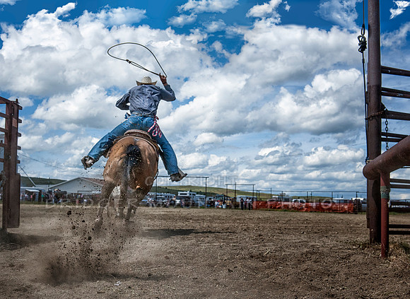 Rope em Cowboy